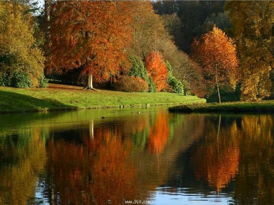 沪江小学资源网_01秋天的图画课件_2012121894949691_749_第3页