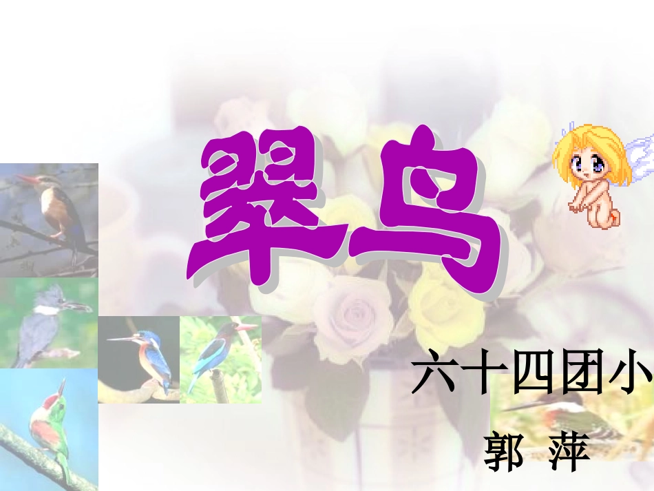 《翠鸟》教学课件_第1页