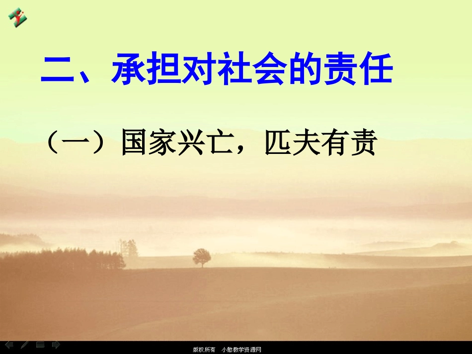 承担对社会的责任 (2)_第1页