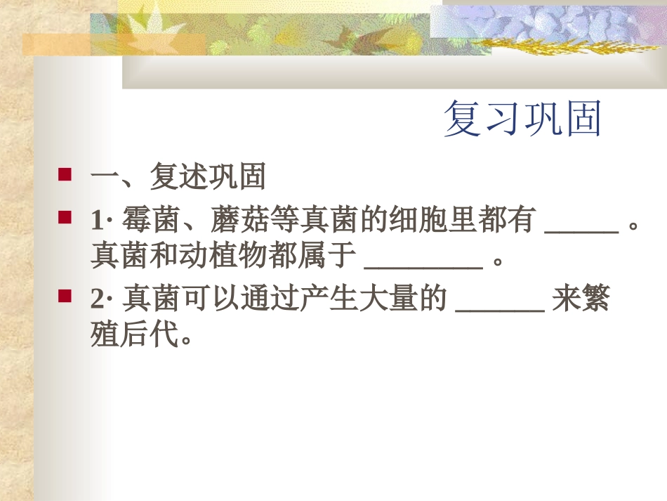 细菌和真菌在自然界中的作用课件_第2页