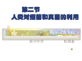 细菌和真菌在自然界中的作用课件