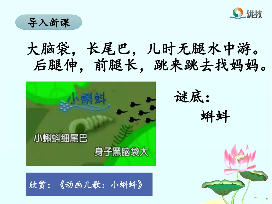 《小蝌蚪找妈妈》名师课件（第一课时）_第2页