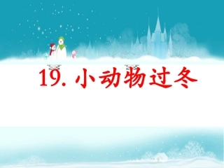 《小动物过冬》课件