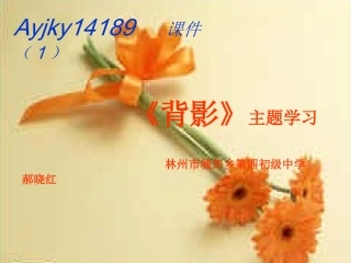《背影》主题学习PPT