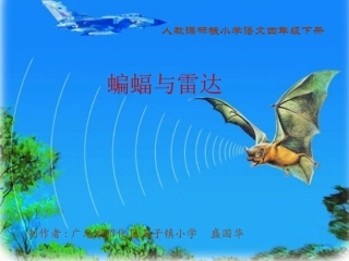 《蝙蝠和雷达。课件