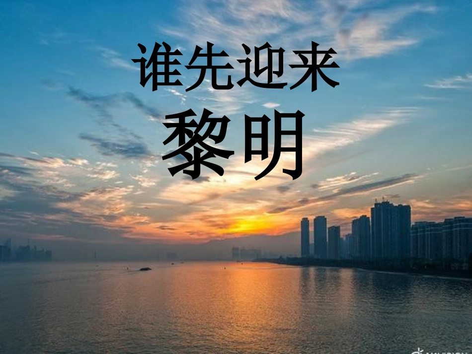 L44谁先迎来黎明_第2页