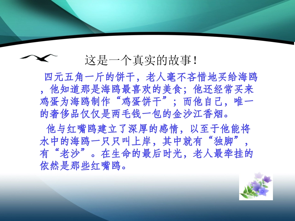 《老人与海鸥》课件 (4)_第2页