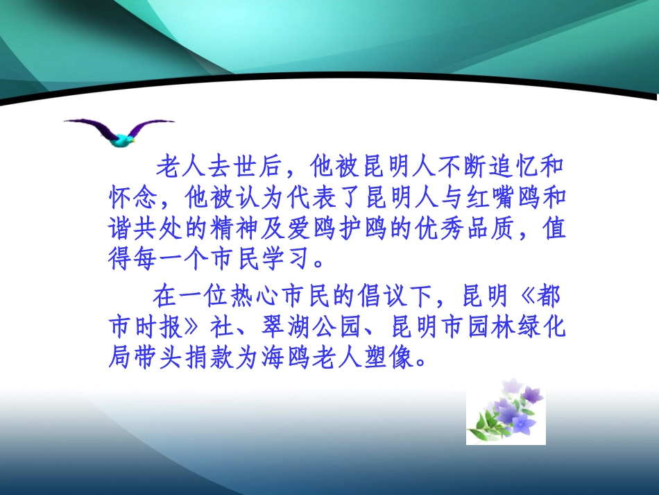 《老人与海鸥》课件 (4)_第3页