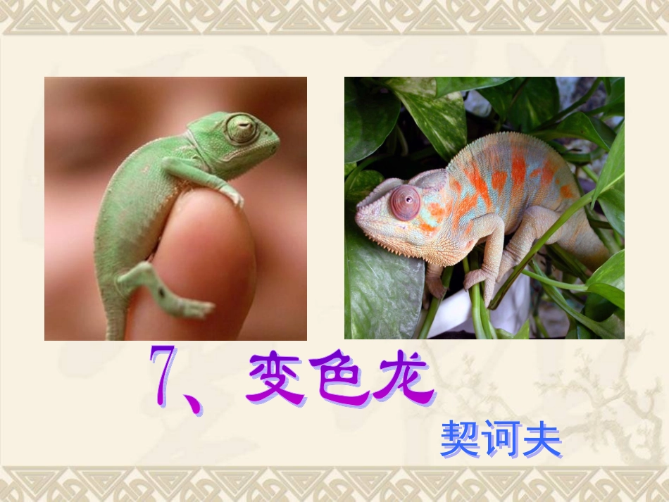 《变色龙》 (3)_第2页