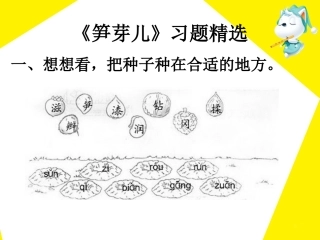 《笋芽儿》习题精选