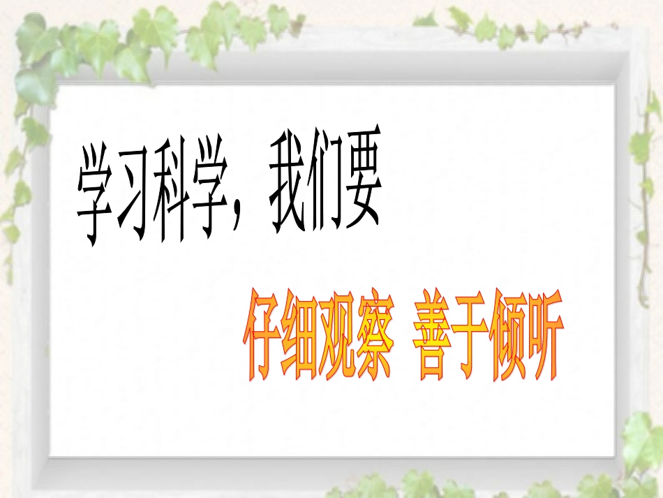 科学《植物新生命的开始》_第2页