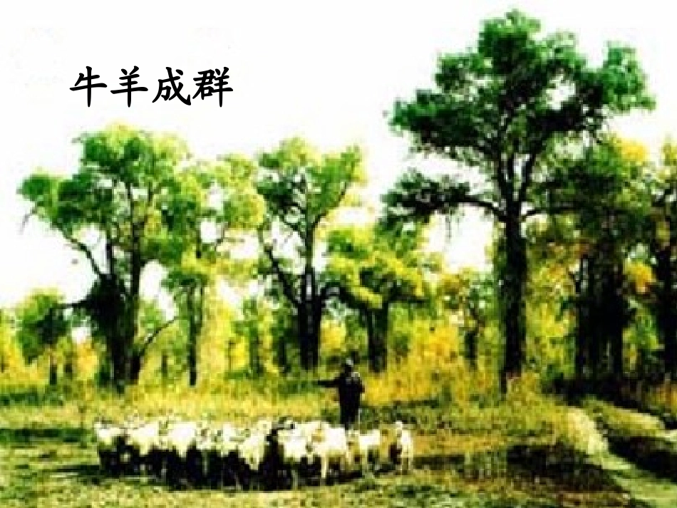 《罗布泊_消逝的仙湖》课件_第3页