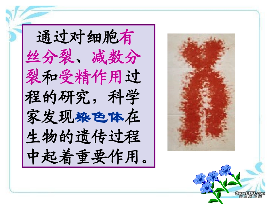 DNA是主要遗传物质_第1页
