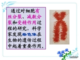 DNA是主要遗传物质