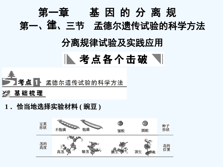【创新设计】2011届高考生物一轮复习 2-1-1、2、3 孟德尔遗传试验的科学方法课件 中图版必修2_第3页