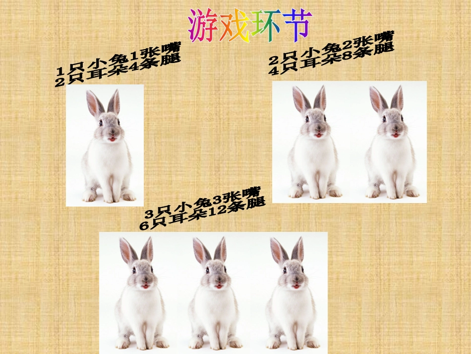 鸡兔同笼课件 (2)_第2页
