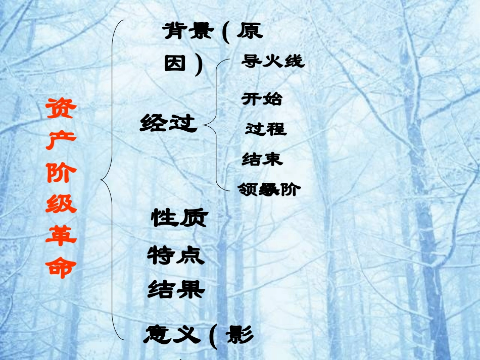 英法美资产阶级革命 (2)_第2页