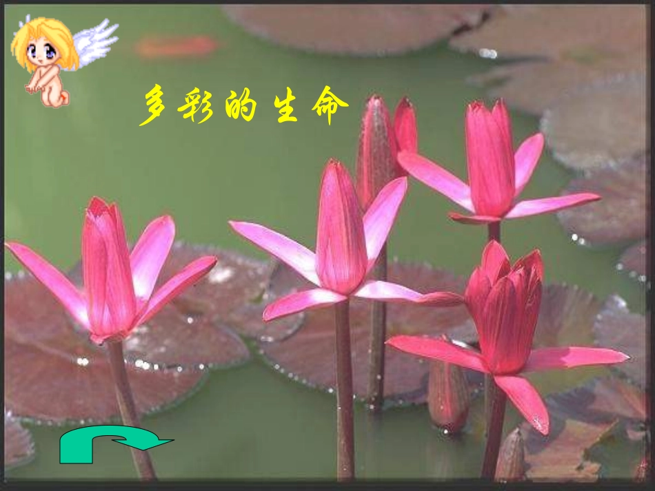 七年级政治珍爱生命_第2页