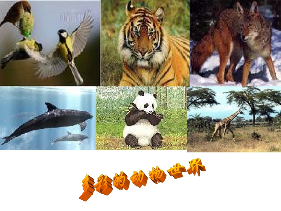 七年级政治珍爱生命_第3页