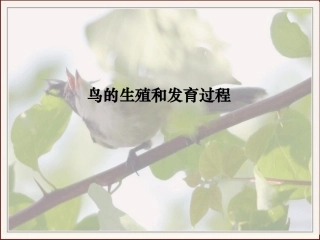 八下714鸟的生殖和发育