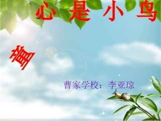 《童心是小鸟》课件7 (3)