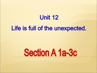 新目标Go_for_it版九年级Unit_12_Life_is_full_of_the_unexpectedSection_A-1(共65张PPT)