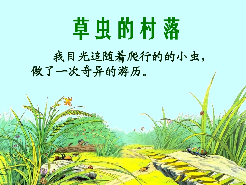 《草虫的村落》2015_第2页