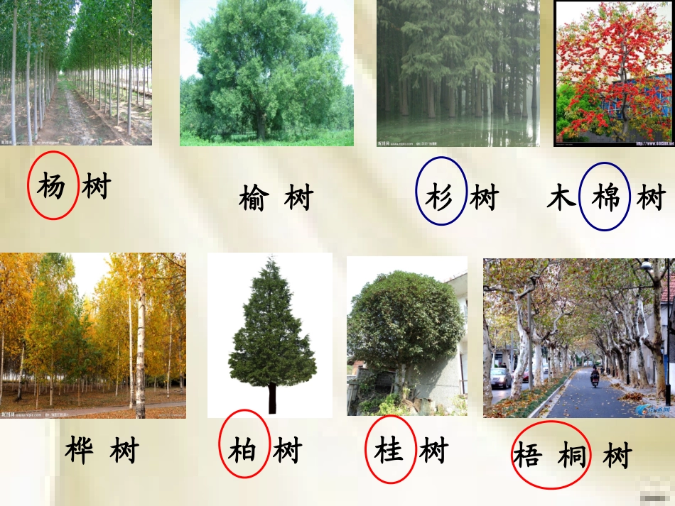 长春版小学语文二年级上册《汉字家园(一)①》课件_第2页