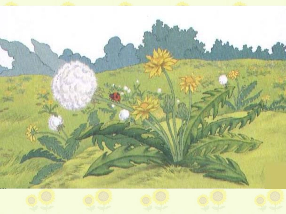 《金色的草地》PPT课件 (3)_第1页