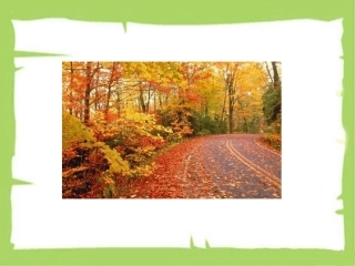 2017秋部编版一年级上册精品课件1秋天