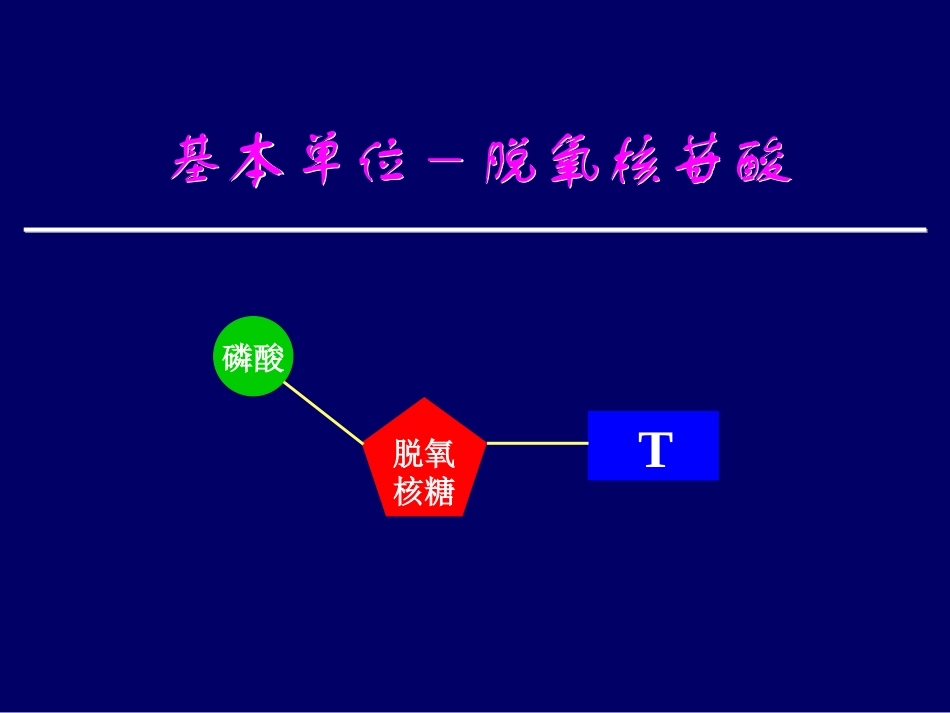 2017年高考生物复习：DNA分子的结构及其复制（21张）（共21张PPT）_第2页