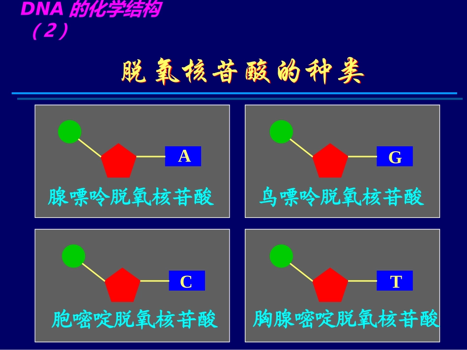 2017年高考生物复习：DNA分子的结构及其复制（21张）（共21张PPT）_第3页