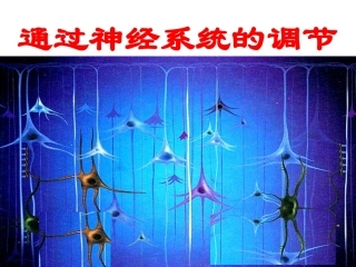 神经系统的调节（谢方）