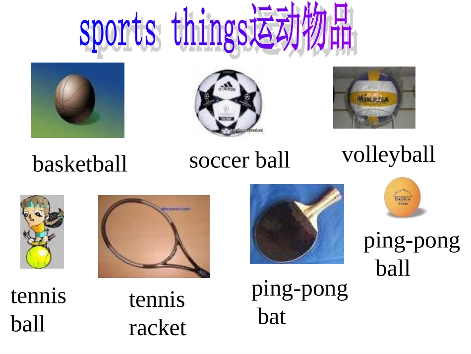 七年级英语doyouhaveasoccerball课件4_第2页