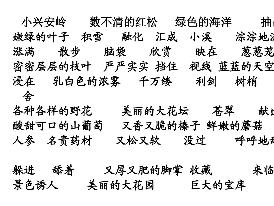 《美丽的小兴安岭》PPT课件(修改版) (3)_第2页
