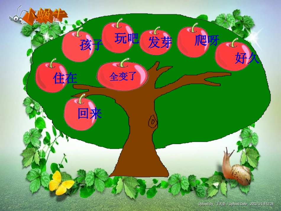 《小蜗牛》课件完整版_第3页