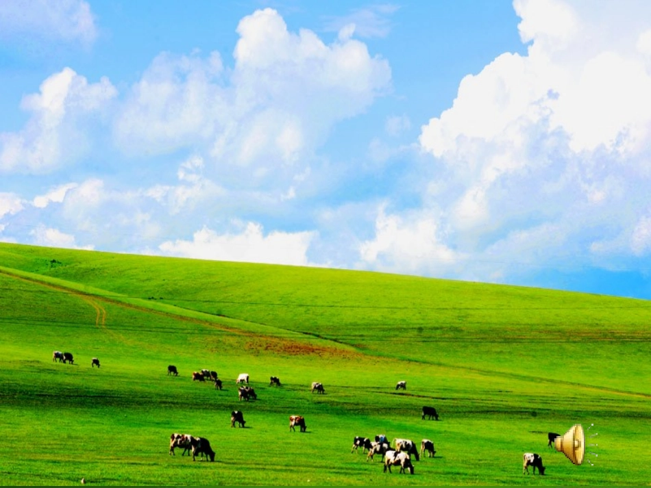 北师大版四年级语文_草原课件_第2页