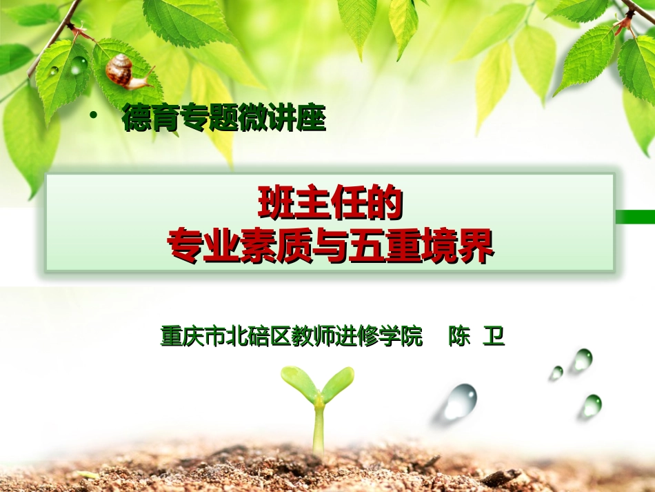 D德育微讲座—班主任的专业素养与五重境界（陈卫）20170418_第1页