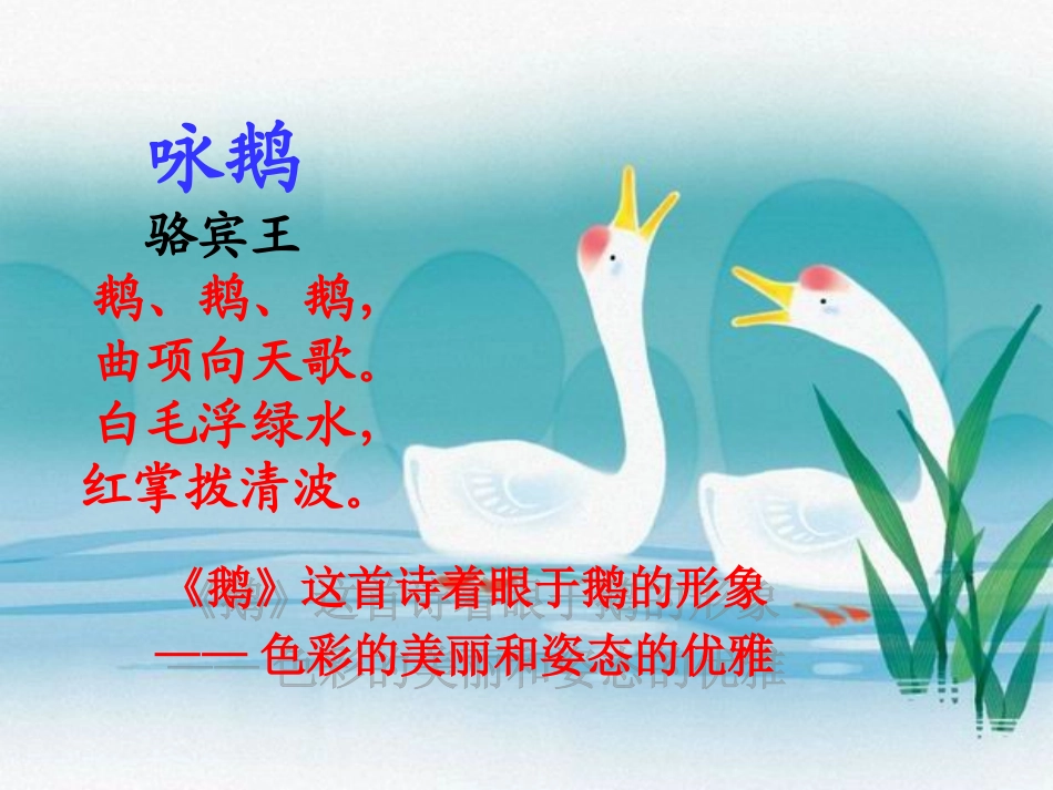 《白鹅》PPT课件 (4)_第2页