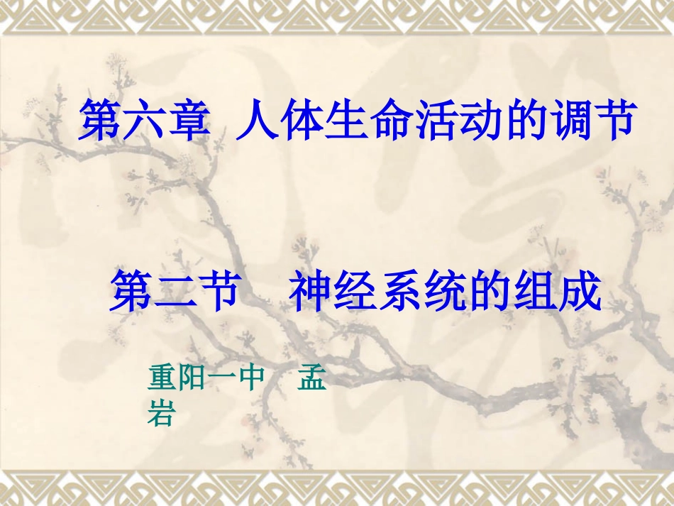 七年级生物下册神经系统的组成_第1页