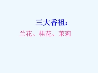 三年级语文上册 茉莉花课件 沪教版