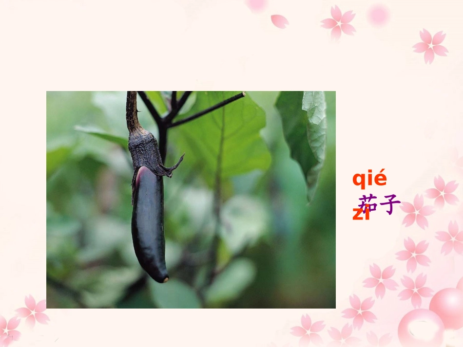 《菜园里》教学课件 (3)_第3页