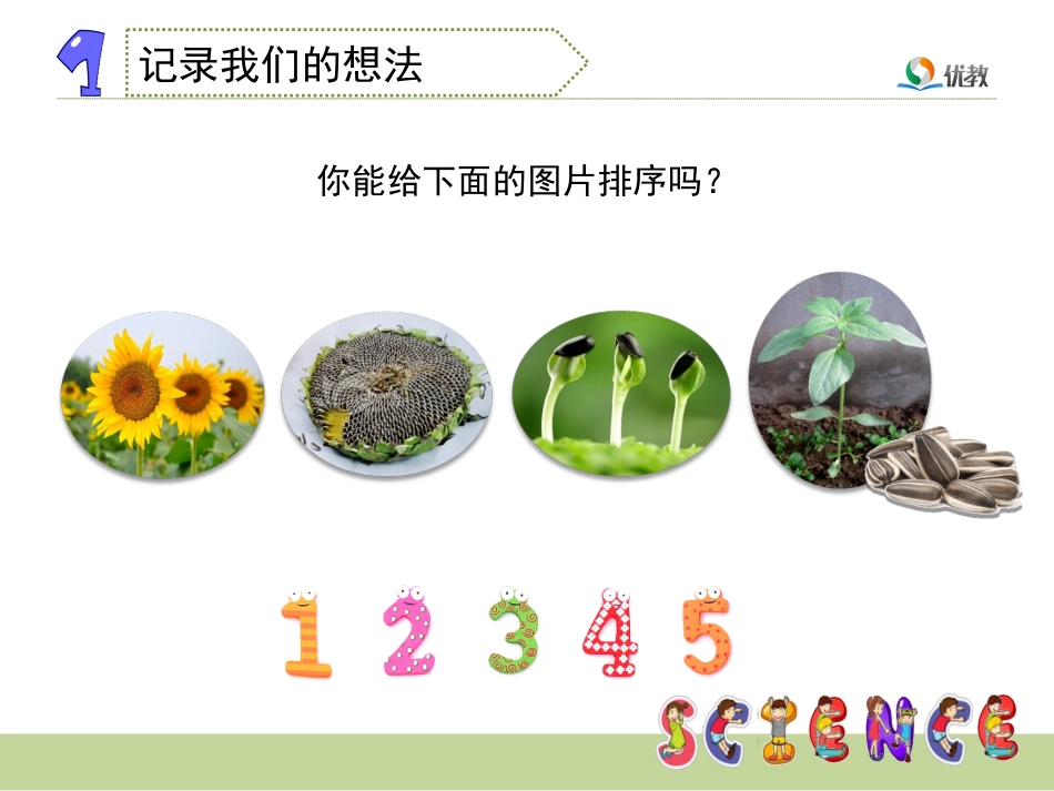 《植物新生命的开始》教学课件_第3页