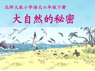 《大自然的秘密》 (2)