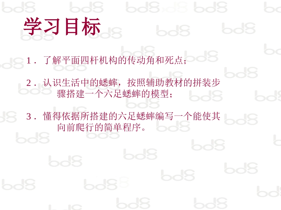 课件_项目_六足蟋蟀_第3页