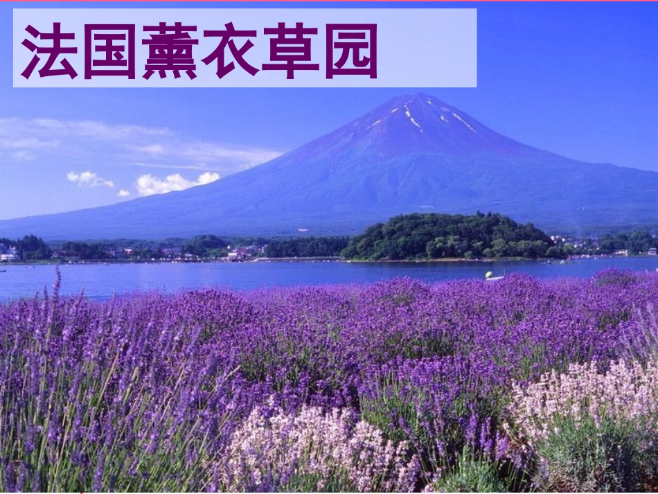 《乌塔》PPT课件_第3页