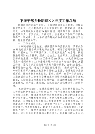 下派干部乡长助理××年度工作总结