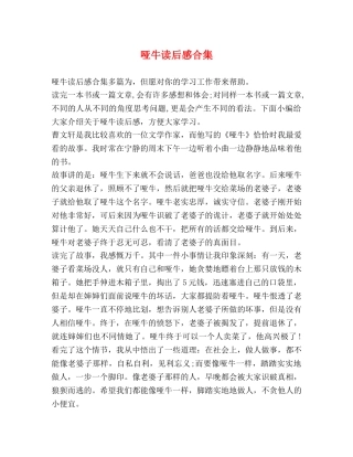 哑牛读后感合集 