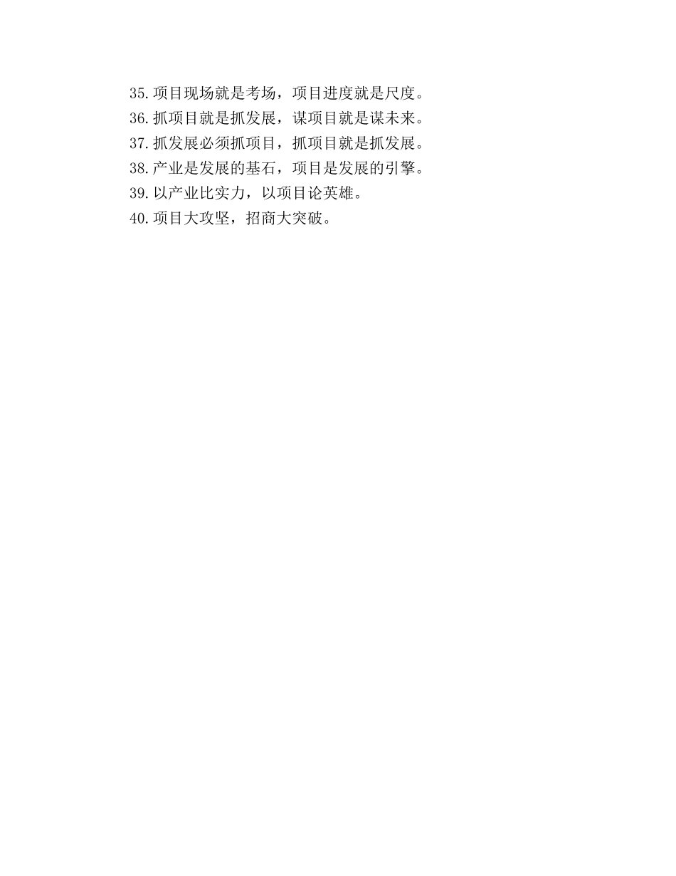 公文写作关于“项目建设”的排比句 _第3页