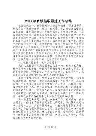 20XX年乡镇挂职锻炼工作总结